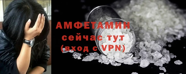 бошки Инта