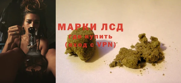 бошки Инта