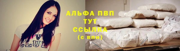 бошки Инта