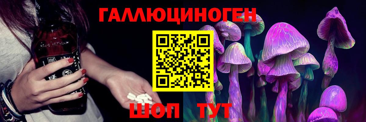 Псилоцибиновые грибы Psilocybine cubensis Кимры